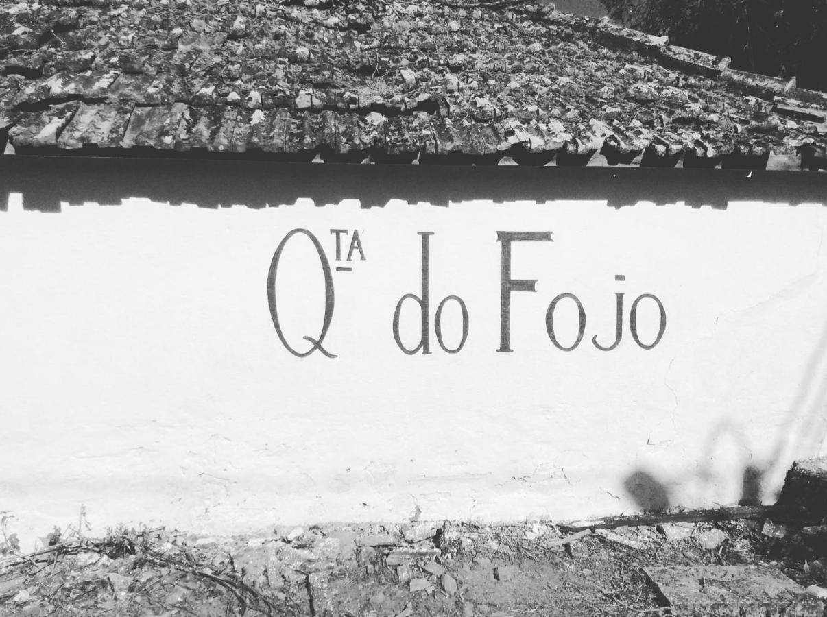 Quinta Do Fojo Bed & Breakfast Ламего Екстериор снимка