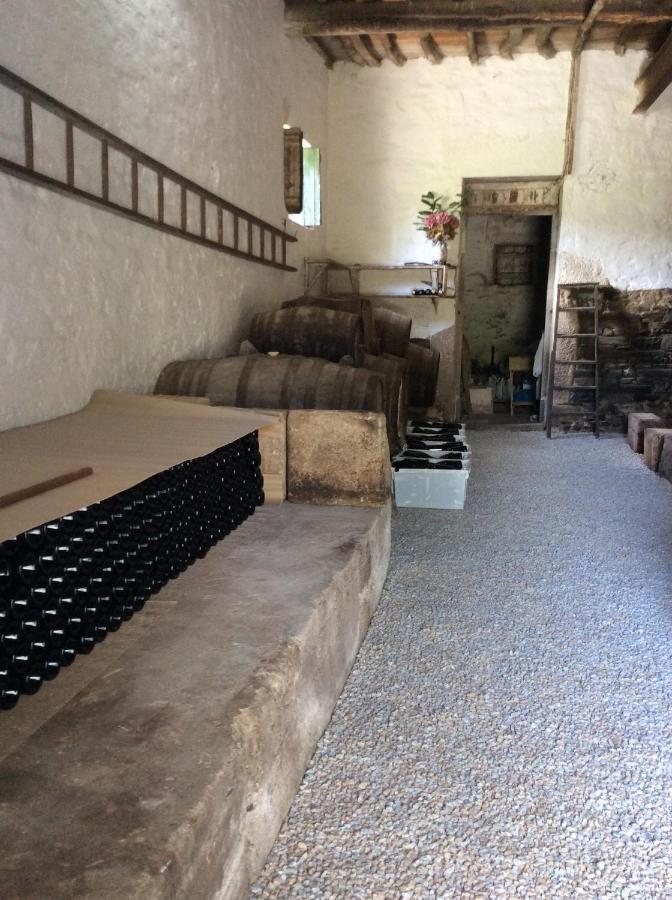 Quinta Do Fojo Bed & Breakfast Ламего Екстериор снимка