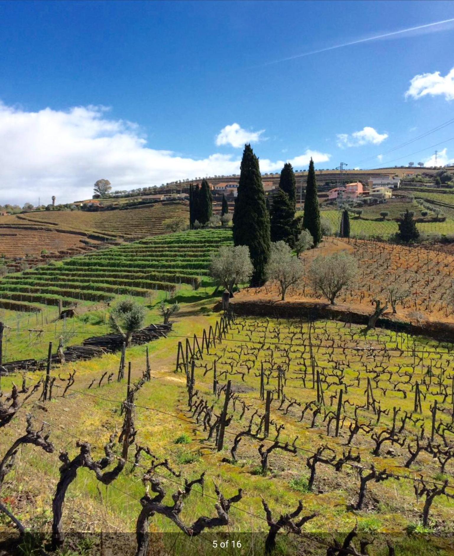 Quinta Do Fojo Bed & Breakfast Ламего Екстериор снимка