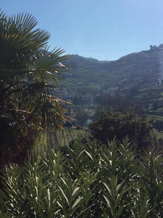 Quinta Do Fojo Bed & Breakfast Ламего Екстериор снимка