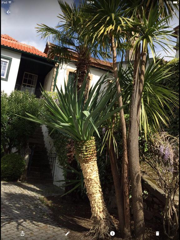 Quinta Do Fojo Bed & Breakfast Ламего Екстериор снимка
