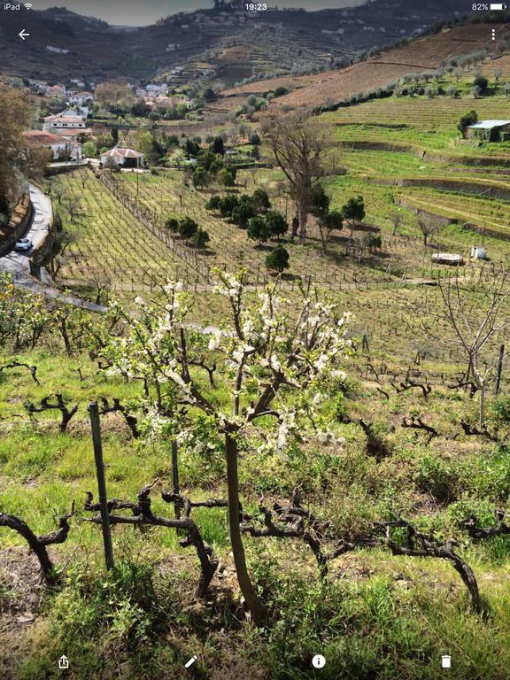 Quinta Do Fojo Bed & Breakfast Ламего Екстериор снимка