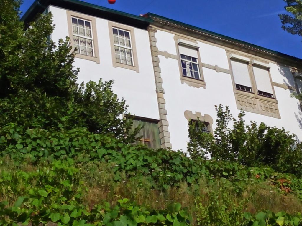 Quinta Do Fojo Bed & Breakfast Ламего Екстериор снимка