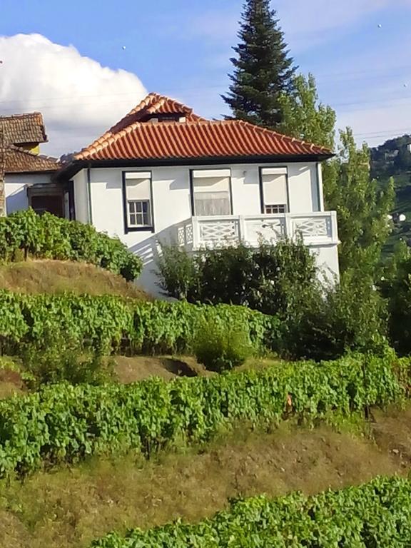 Quinta Do Fojo Bed & Breakfast Ламего Екстериор снимка