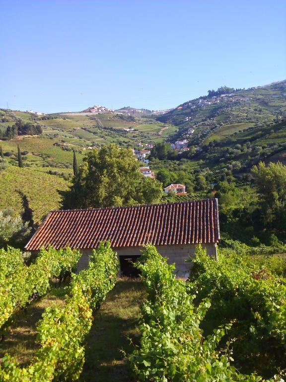 Quinta Do Fojo Bed & Breakfast Ламего Екстериор снимка