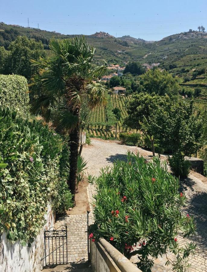 Quinta Do Fojo Bed & Breakfast Ламего Екстериор снимка
